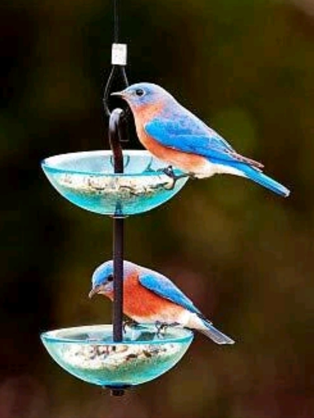 Mosaic Birds Lime Double Poppy Glass Hanging Bird Feeder Garden Decor Eco Chic
